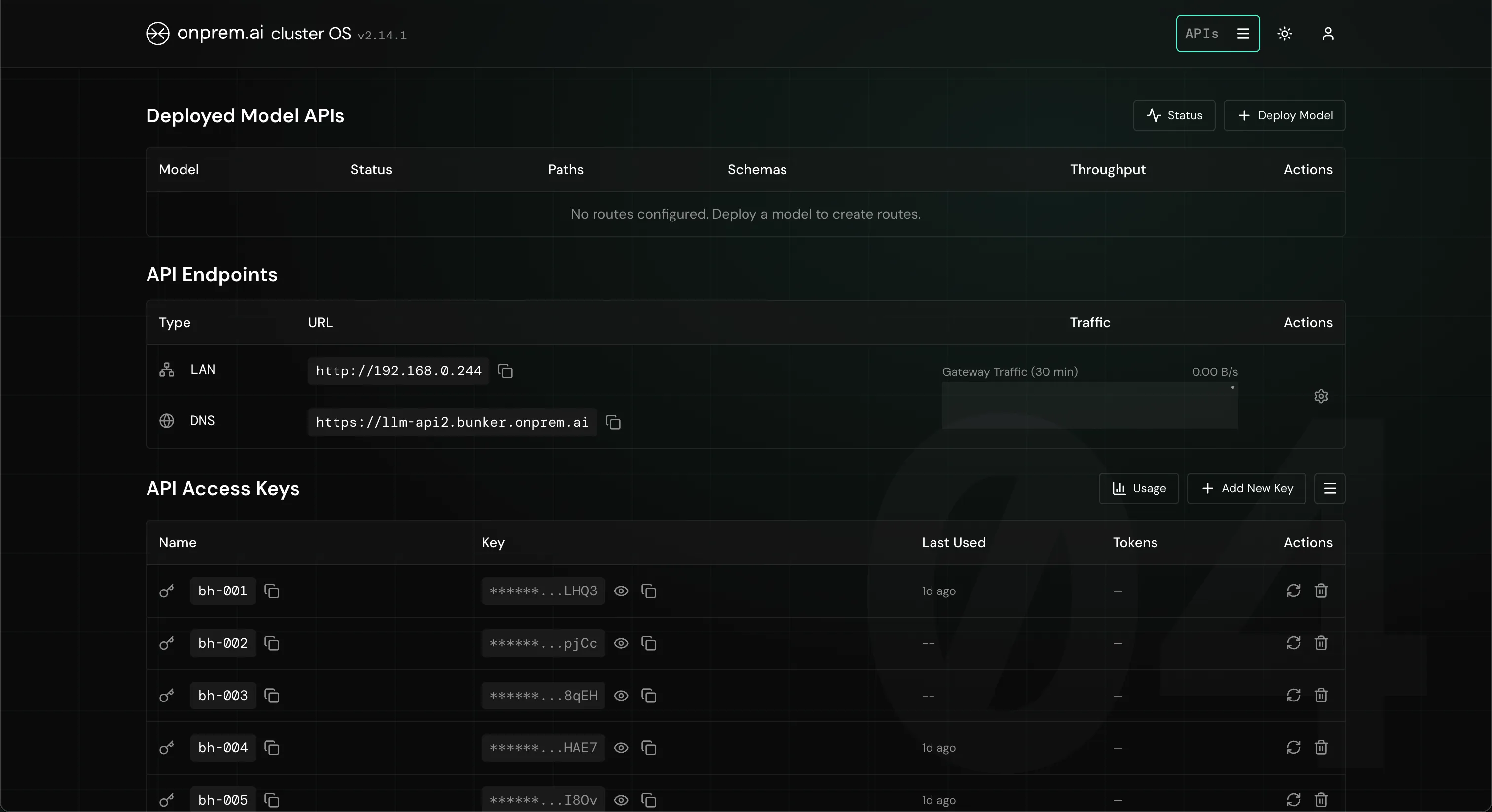API page of the onprem.ai software with endpoints, live traffic, and API keys