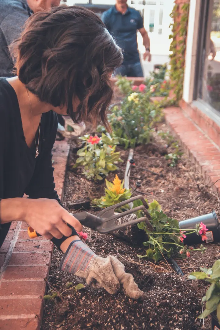 Gardening in a flower bed